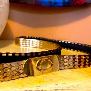 Gold stretch chain belt with fish scale metal hardware and black lining